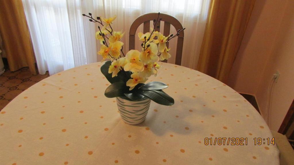 טרוגיר Apartment Tomy מראה חיצוני תמונה