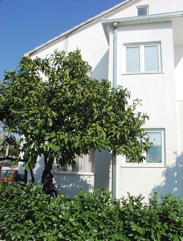 טרוגיר Apartment Tomy מראה חיצוני תמונה